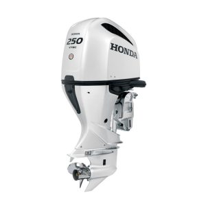 Honda 250hp iST Outboard Motor | BF250DXCDA WT