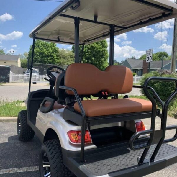 2022 ADVANCED EV EV1 4 CHAMPAGNE - Image 4