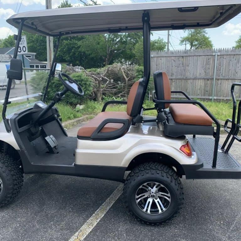 2022 ADVANCED EV EV1 4 CHAMPAGNE - Image 3