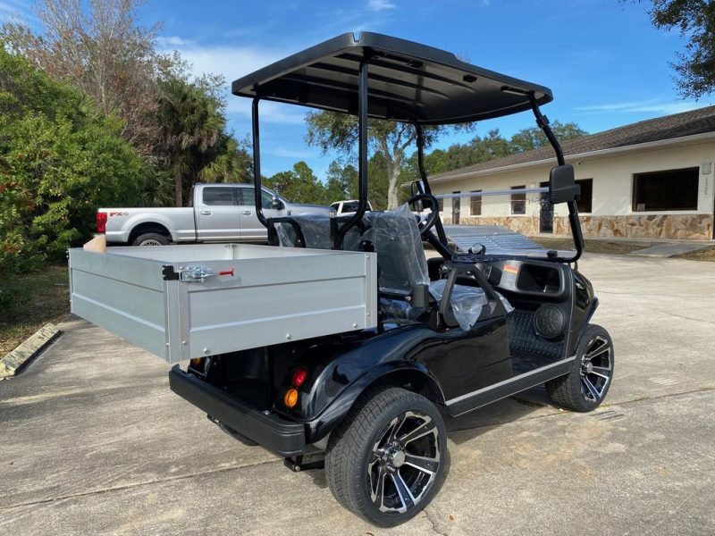 2022 Evolution Electric Vehicles Turfman 200 - Image 4