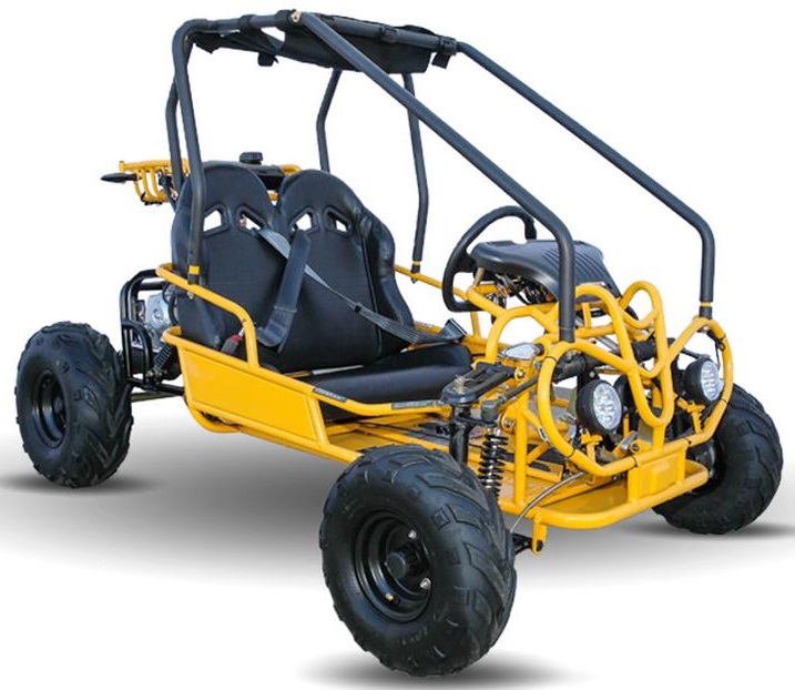 Mini Rover 125 Kids Go Kart, Remote Start/Kill, Automatic, with Reverse, Speed Governor - Image 2