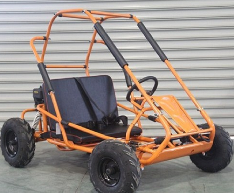 Interceptor 196 XRS Go Kart, 6.5hp, Torque Converter, Dual Seat (Super Sale) - Image 3