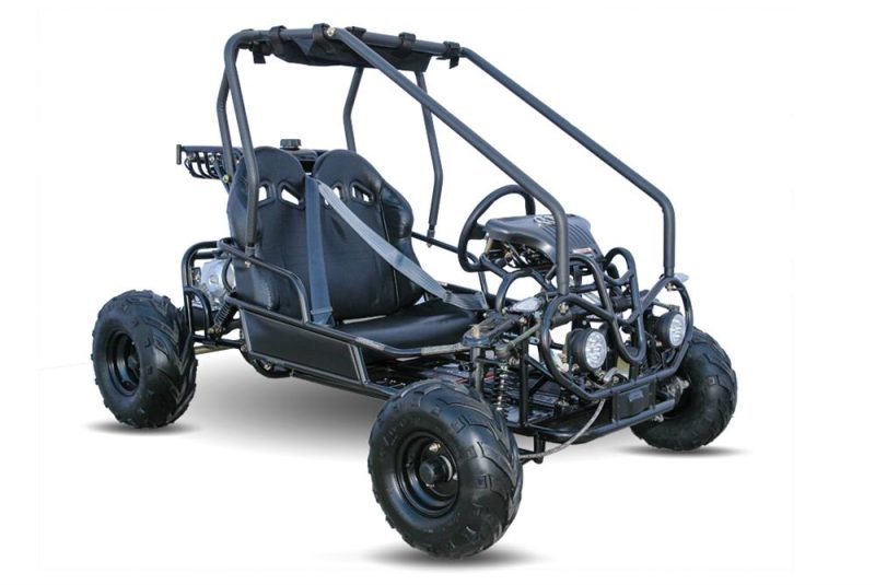 Mini Rover 125 Kids Go Kart, Remote Start/Kill, Automatic, with Reverse, Speed Governor - Image 3