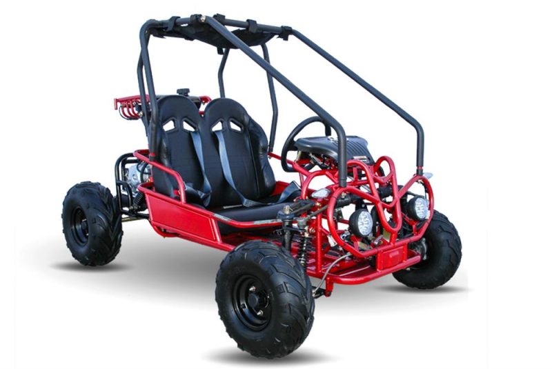 Mini Rover 125 Kids Go Kart, Remote Start/Kill, Automatic, with Reverse, Speed Governor