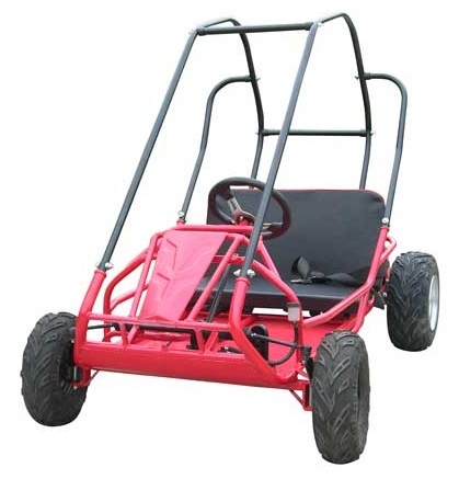 Interceptor 196 XRS Go Kart, 6.5hp, Torque Converter, Dual Seat (Super Sale)